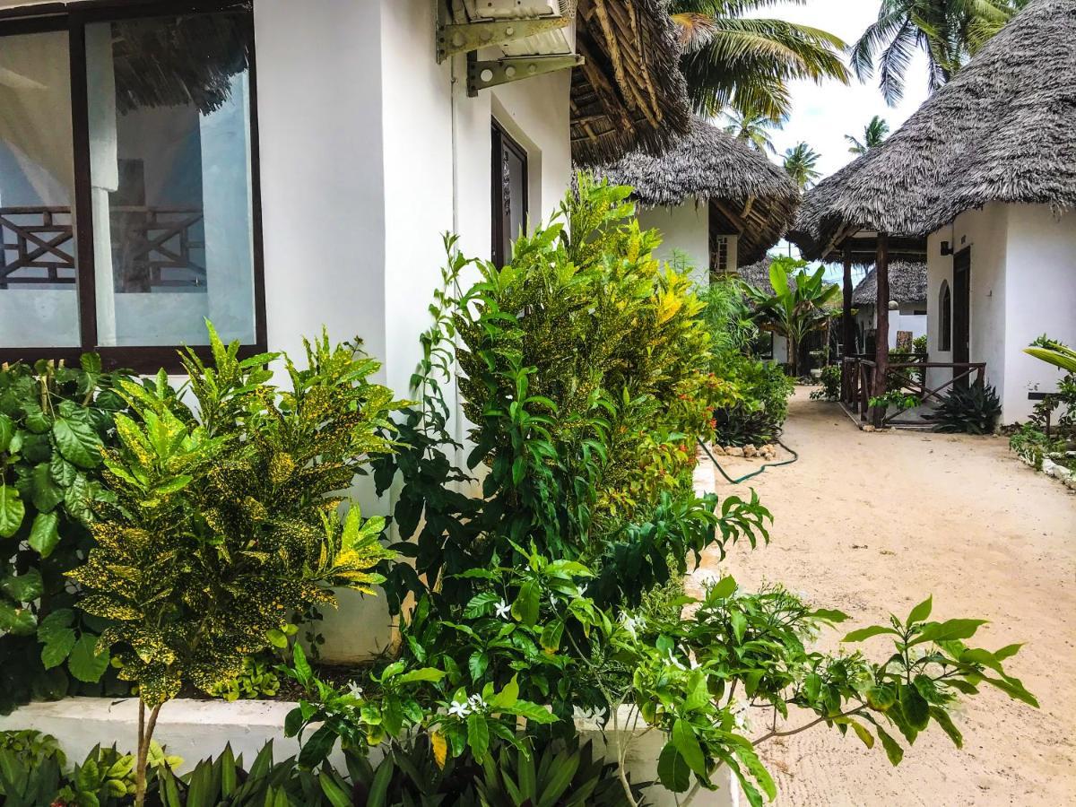 Jambiani White Sands Bungalows Dış mekan fotoğraf