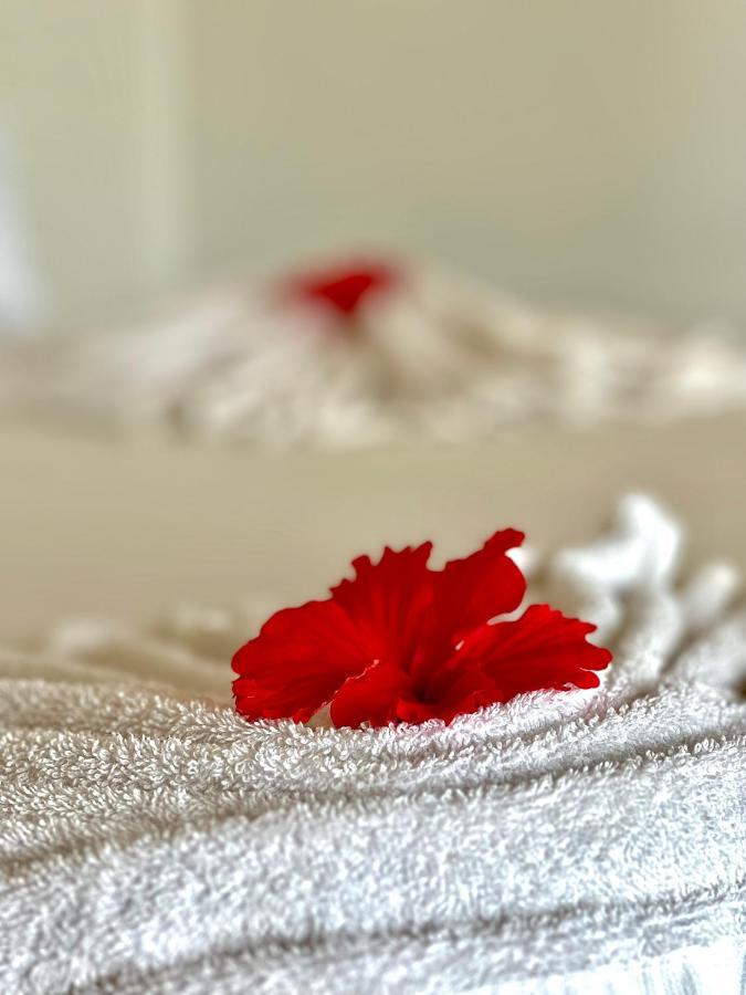 Jambiani White Sands Bungalows Dış mekan fotoğraf