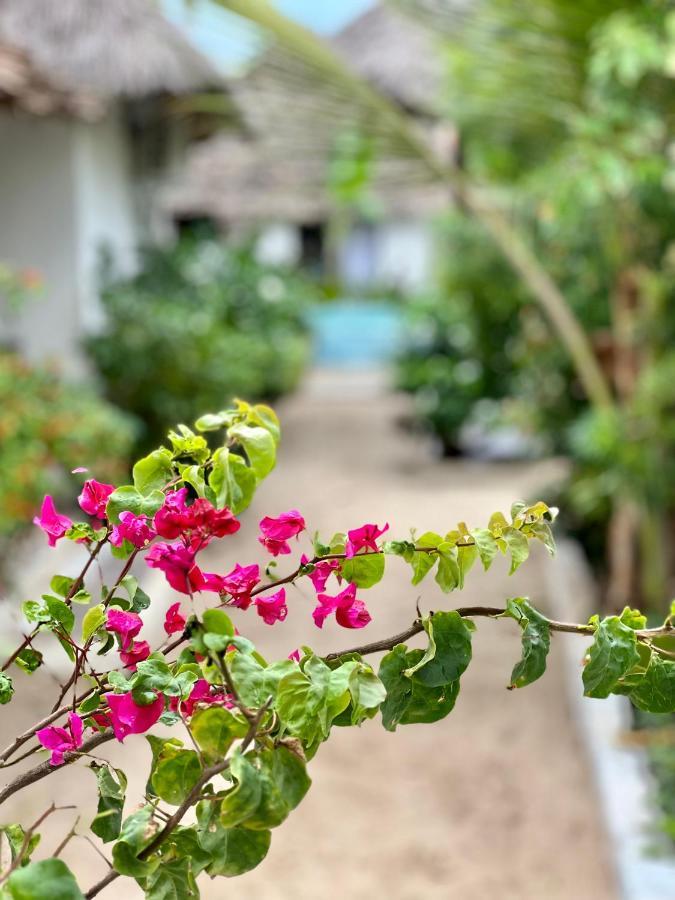 Jambiani White Sands Bungalows Dış mekan fotoğraf