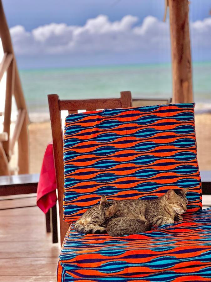 Jambiani White Sands Bungalows Dış mekan fotoğraf