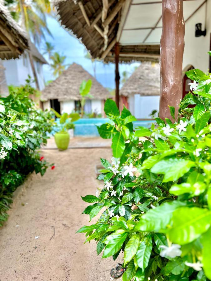 Jambiani White Sands Bungalows Dış mekan fotoğraf